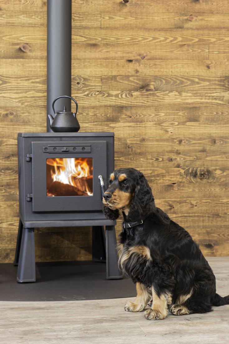 Le poêle à bois WeRa _ petit mais puissant !